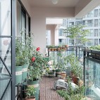 葡萄家—147平住宅空间——阳台图片