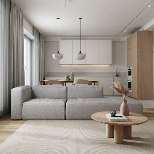 客厅装修效果图70平小公寓，简约素雅设计61-80m²其他现代简约家装装修案例效果图